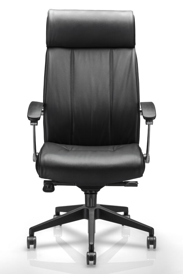 Silla Directiva 2498C - Imagen 2